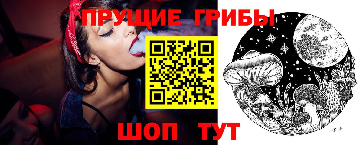 Псилоцибиновые грибы Cubensis Ефремов