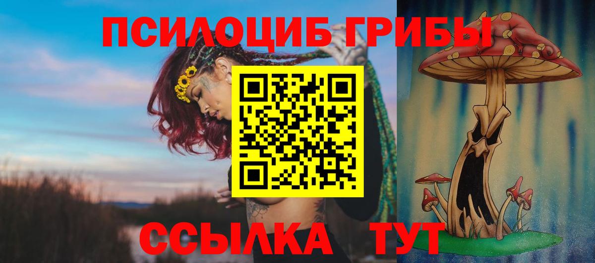 Галлюциногенные грибы ЛСД  Галлюциногенные грибы мицелий  Ефремов  Вход с VPN 